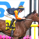 Moonee Valley double for All American